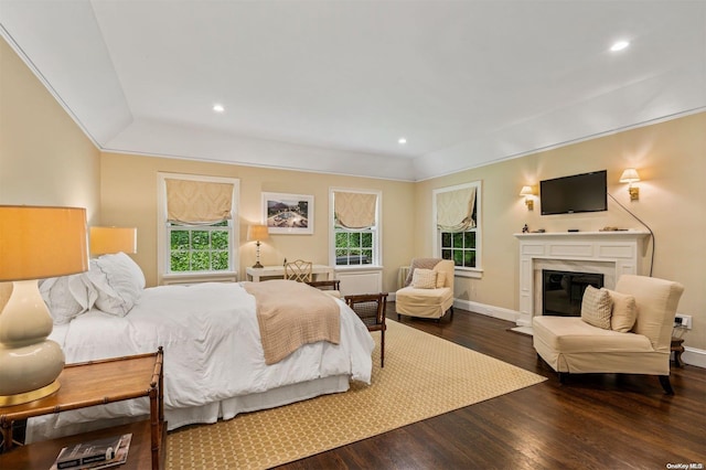 bedroom with wood-type flooring