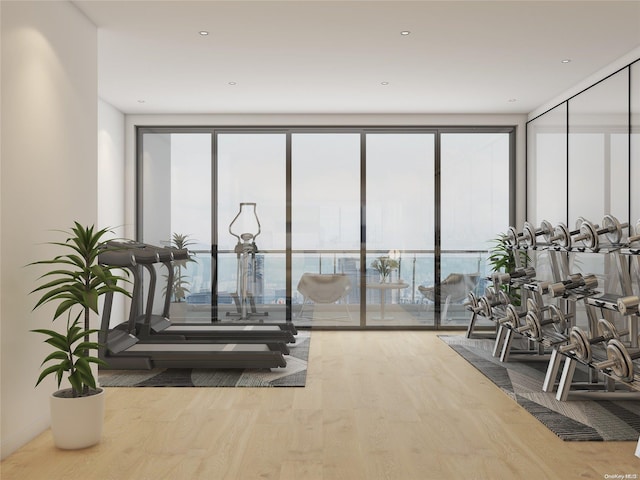 136-80 41st Ave Unit 6G, Flushing, NY 11355 - workout area featuring wood finished floors, healthy amount of natural light, and a wall of windows