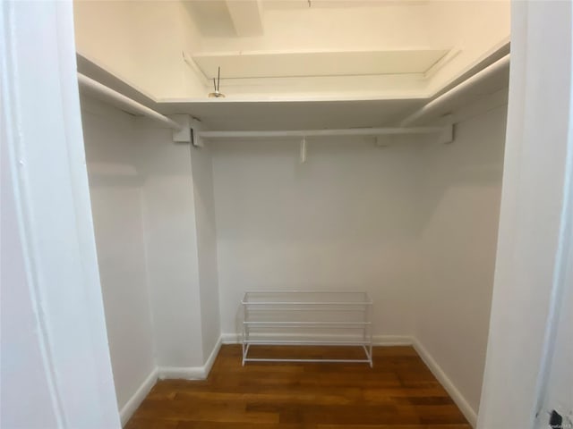 walk in closet featuring dark hardwood / wood-style floors