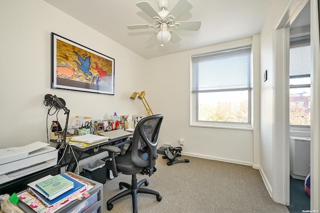 office featuring ceiling fan and carpet floors