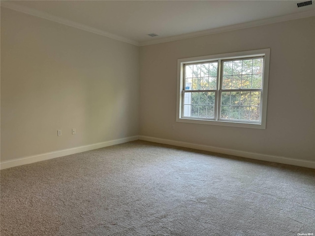 spare room featuring carpet and ornamental molding