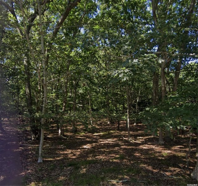 32 Delavan St, East Hampton NY, 11937 land for sale