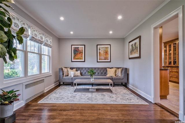 living room with radiator, dark hardwood / wood-style floors, and ornamental molding