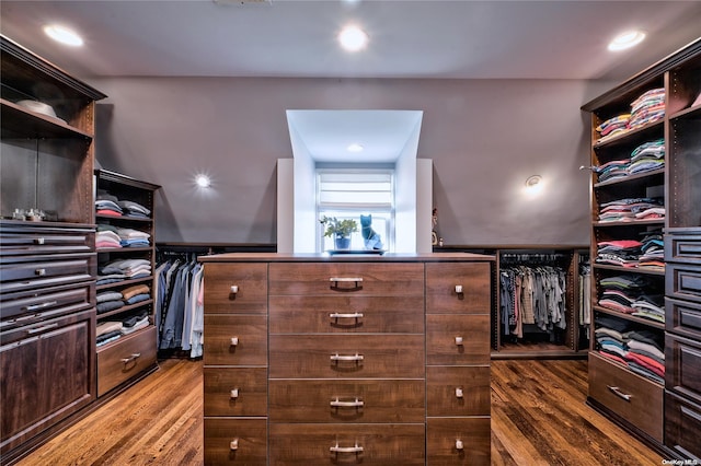 spacious closet with hardwood / wood-style floors