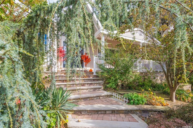 entrance to property featuring covered porch