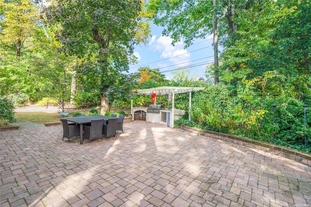 view of patio / terrace with area for grilling