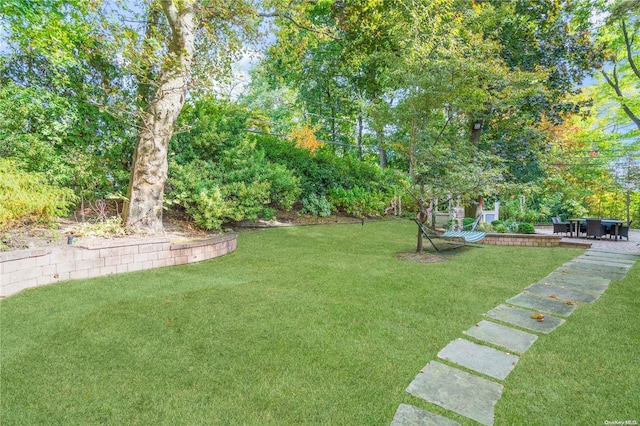 view of yard with a patio