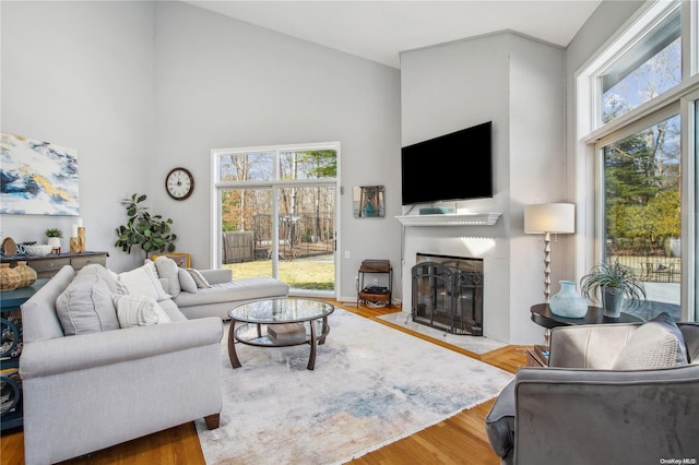 living room featuring wood-type flooring and a high ceiling