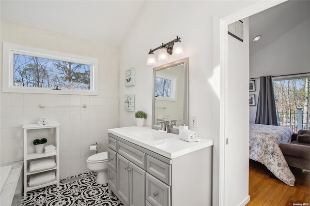 bathroom featuring a wealth of natural light and lofted ceiling