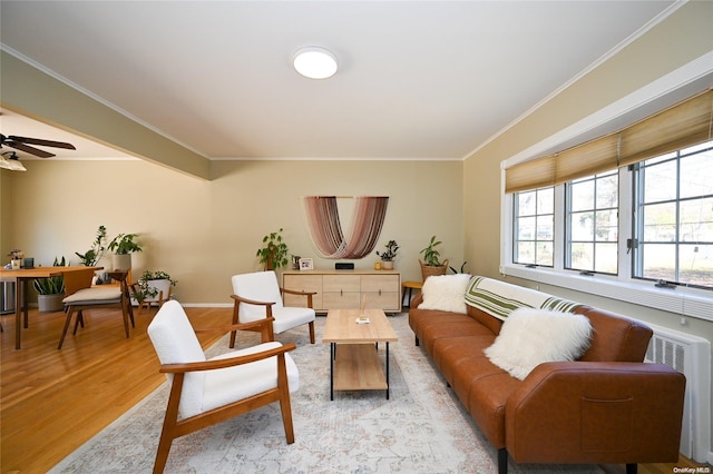 living room featuring ornamental molding, light wood-type flooring, ceiling fan, and radiator