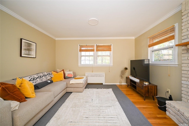 living room featuring wood-type flooring, radiator heating unit, and ornamental molding