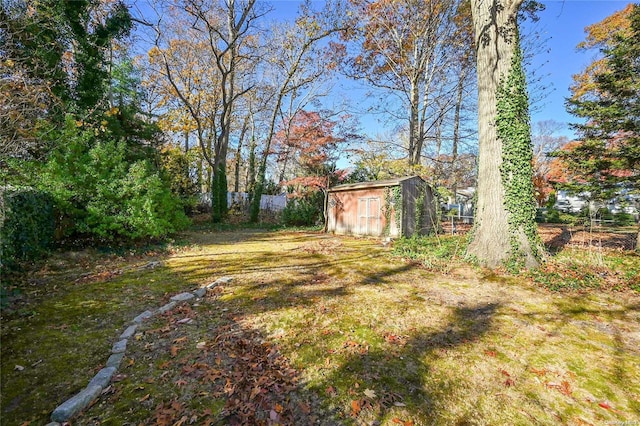 view of yard featuring a storage shed