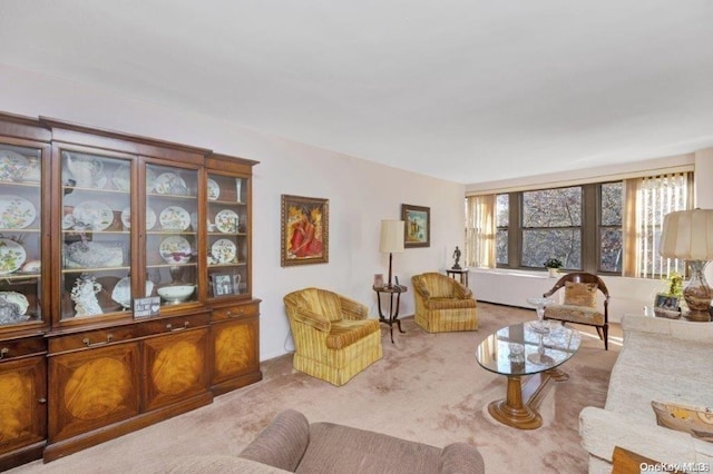 18-75 Corporal Kennedy St Unit 2F, Bayside, NY 11360 - living room featuring carpet