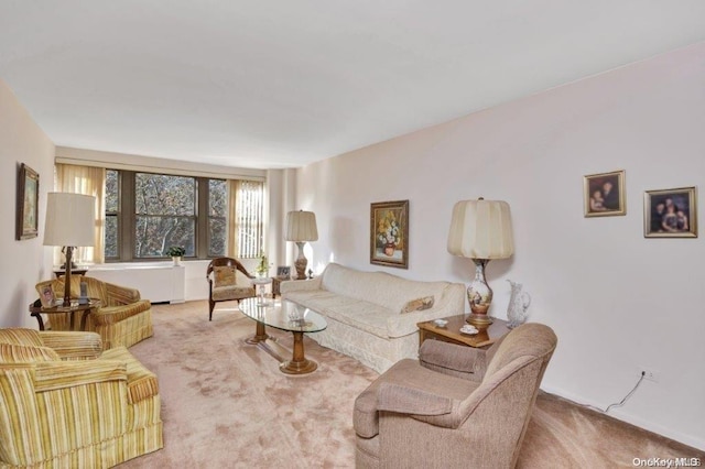 18-75 Corporal Kennedy St Unit 2F, Bayside, NY 11360 - view of carpeted living area