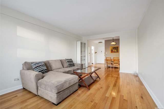 living room featuring wood-type flooring