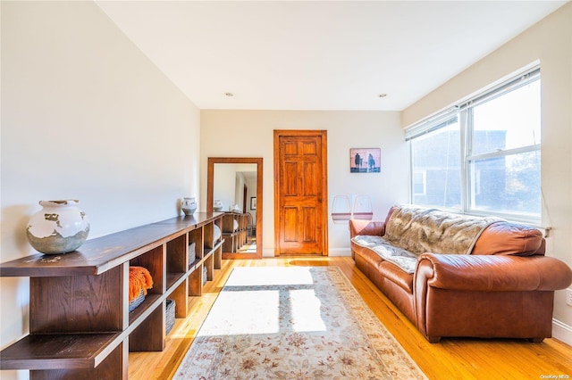 living room with light wood-type flooring