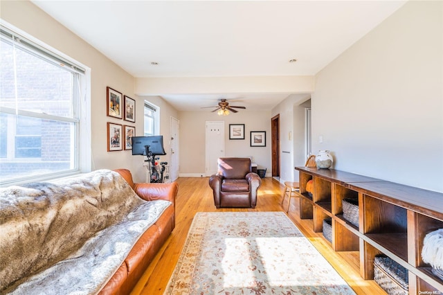 living room with ceiling fan and light wood-type flooring