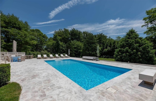 view of swimming pool featuring a patio area