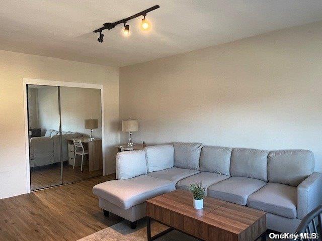 living room featuring hardwood / wood-style floors and track lighting