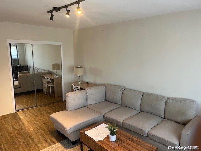 living room with hardwood / wood-style flooring