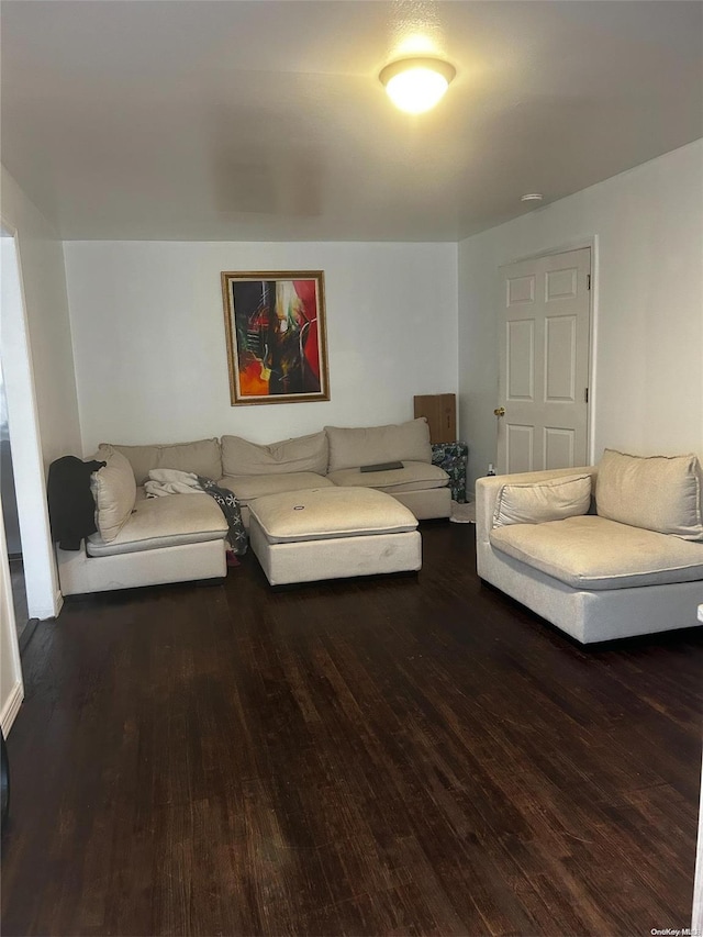 living room with dark wood-type flooring