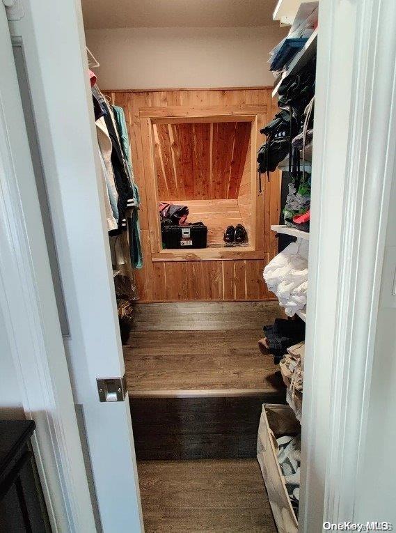 spacious closet featuring dark wood-type flooring