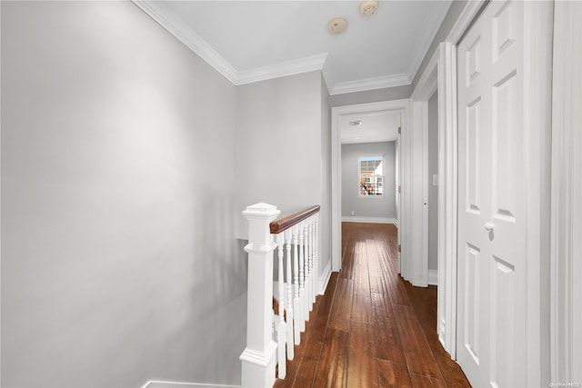 hall with dark wood-type flooring and ornamental molding