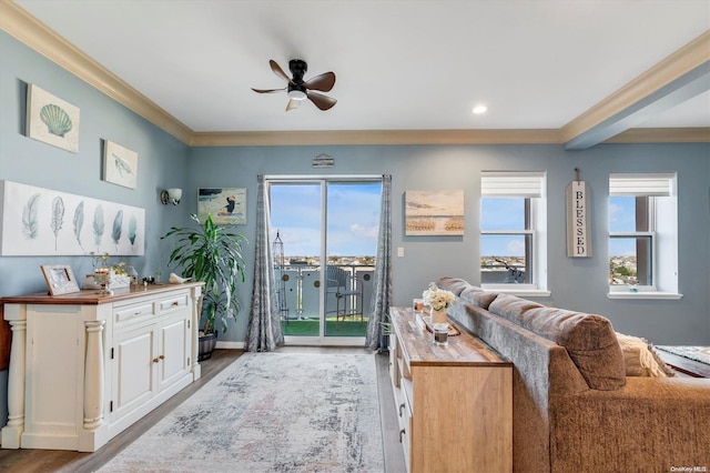 living room with ornamental molding, light hardwood / wood-style floors, and ceiling fan