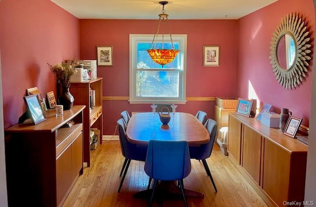 dining space featuring light hardwood / wood-style flooring