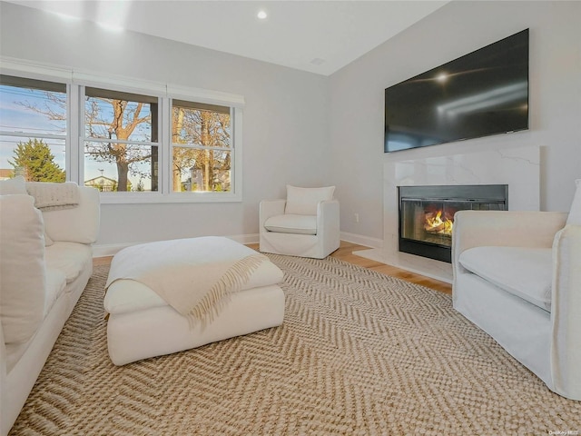 living room featuring light hardwood / wood-style flooring and a fireplace