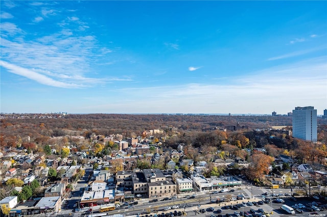 bird's eye view