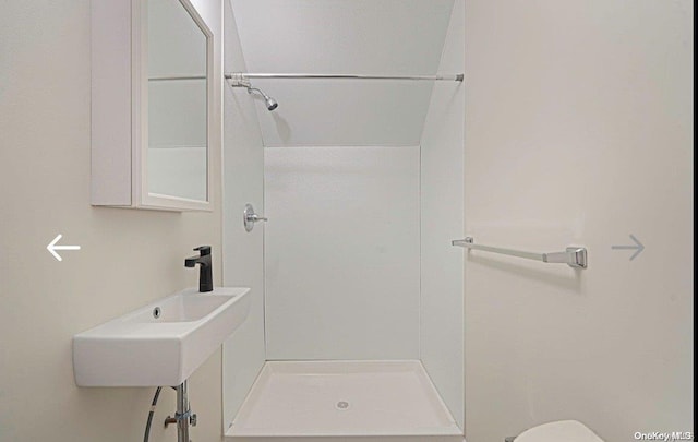 bathroom with sink, toilet, and walk in shower