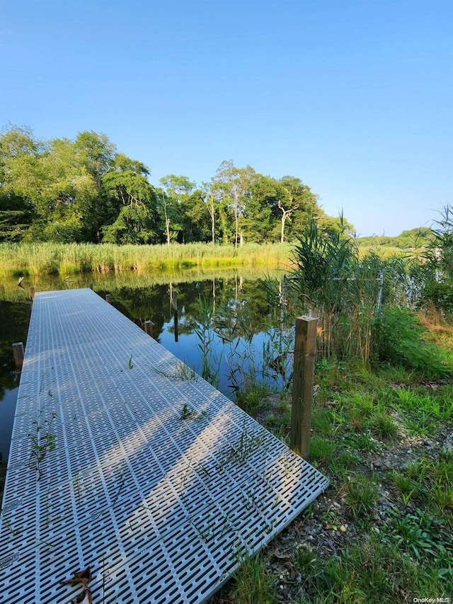 dock area with a water view