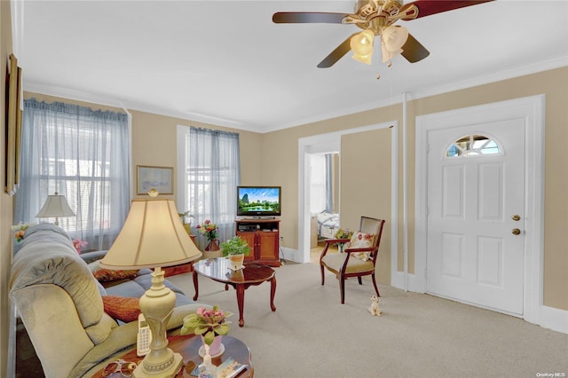 carpeted living room with plenty of natural light, ceiling fan, and crown molding