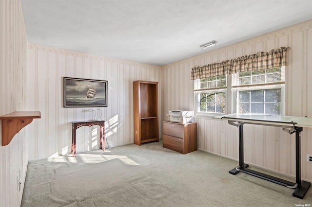 misc room featuring light colored carpet