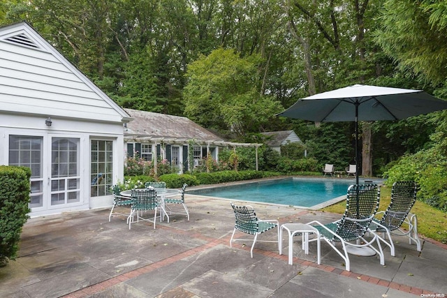 view of pool with a patio area