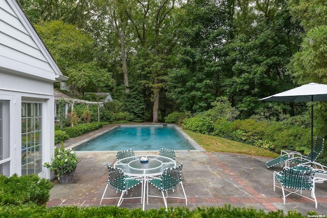 view of swimming pool with a patio