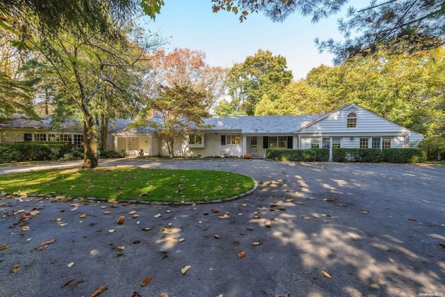 single story home featuring a front lawn