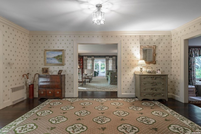 bedroom with radiator heating unit, crown molding, and dark wood-type flooring