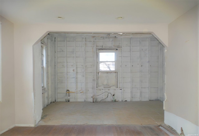 basement with hardwood / wood-style floors