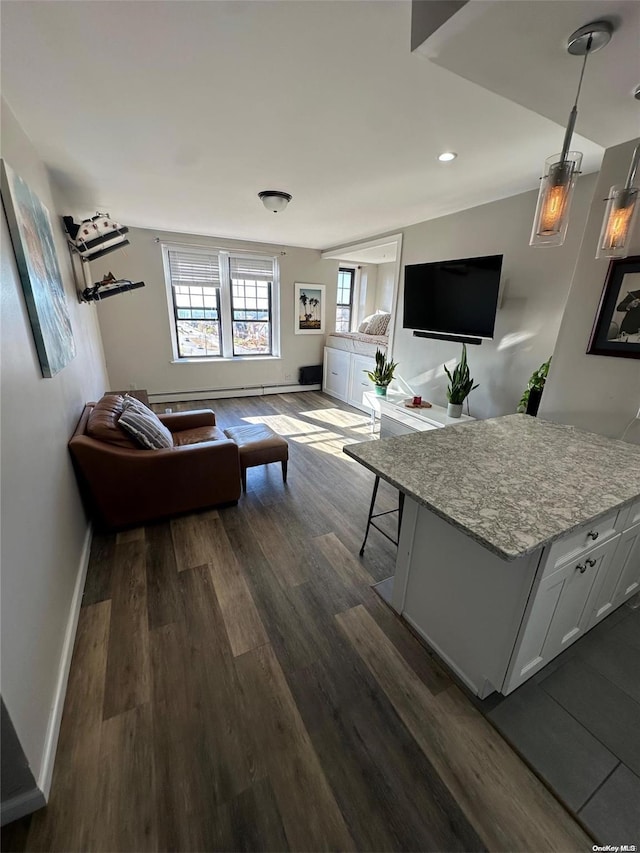 living room featuring dark wood-type flooring