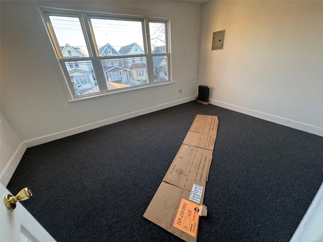 spare room featuring electric panel and dark carpet