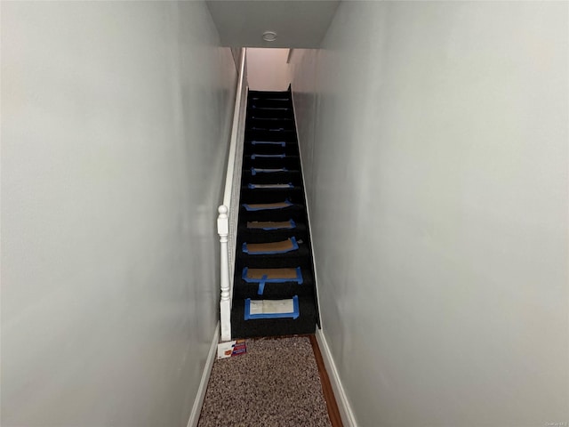 stairway featuring carpet floors