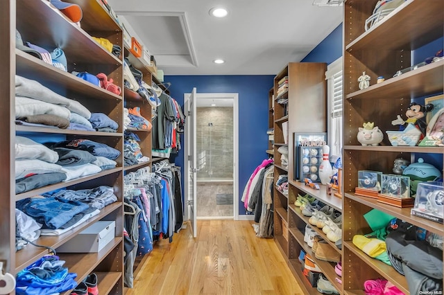 walk in closet with light wood-type flooring