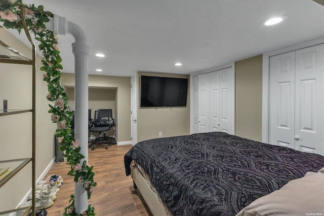 bedroom with two closets and wood-type flooring