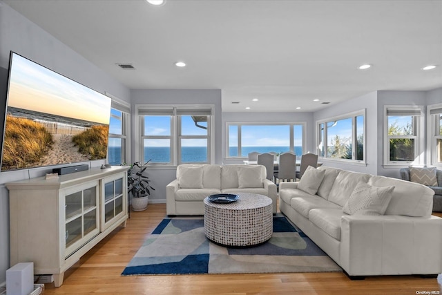 living room with light wood-type flooring