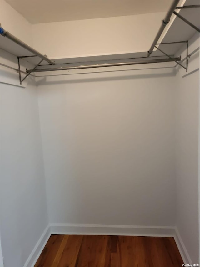 walk in closet with wood-type flooring