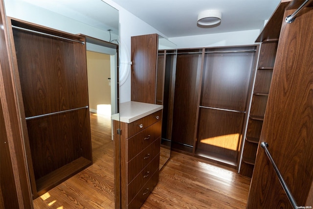 spacious closet featuring hardwood / wood-style flooring