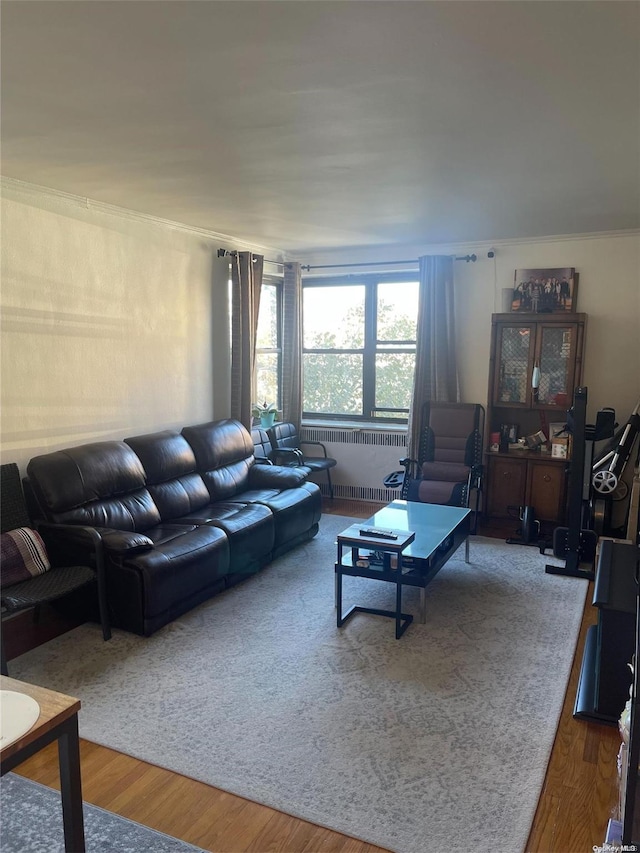 living room with hardwood / wood-style flooring and ornamental molding