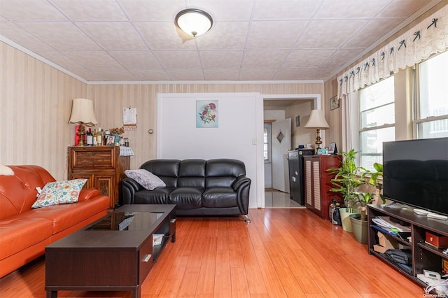 living room with light hardwood / wood-style floors